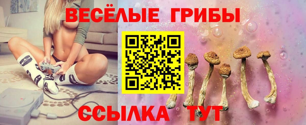 Псилоцибиновые грибы MAGIC MUSHROOMS Боровичи
